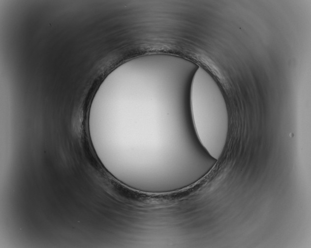 X0000093090490200709260912