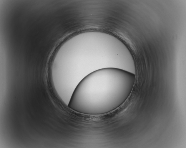 X0000093090492200709260912