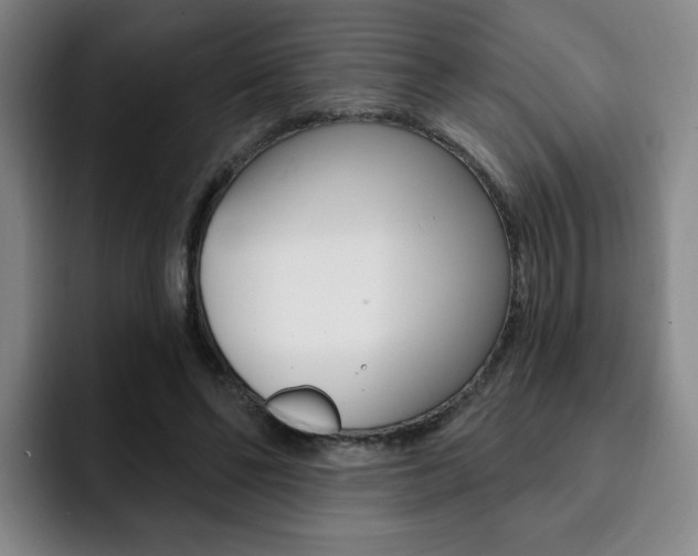 X0000093090494200709260912