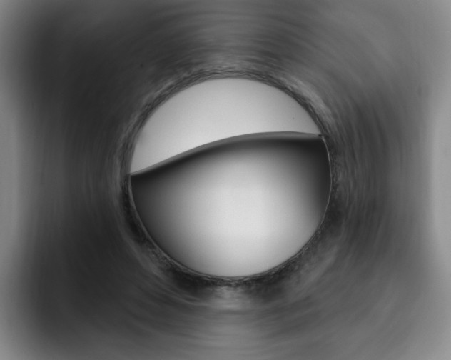 X0000093090496200709260911