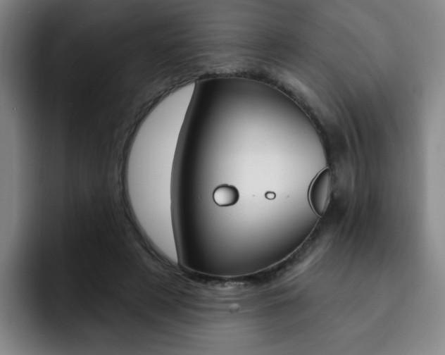 X0000093090497200709260911