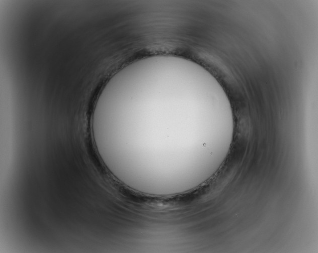 X0000093090498200709260911