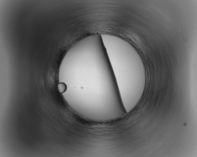 X0000093090503200709260911