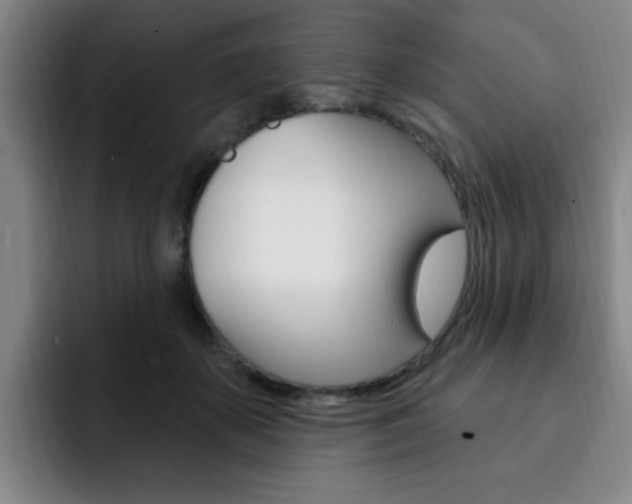 X0000093090507200709260911