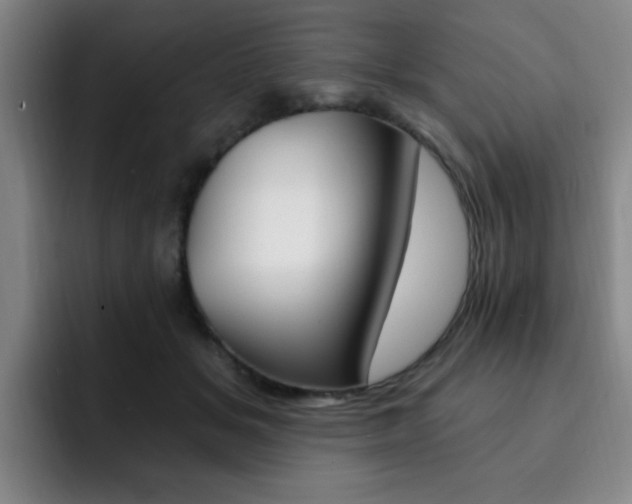 X0000093090509200709260911