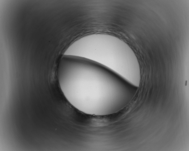 X0000093090515200709260911