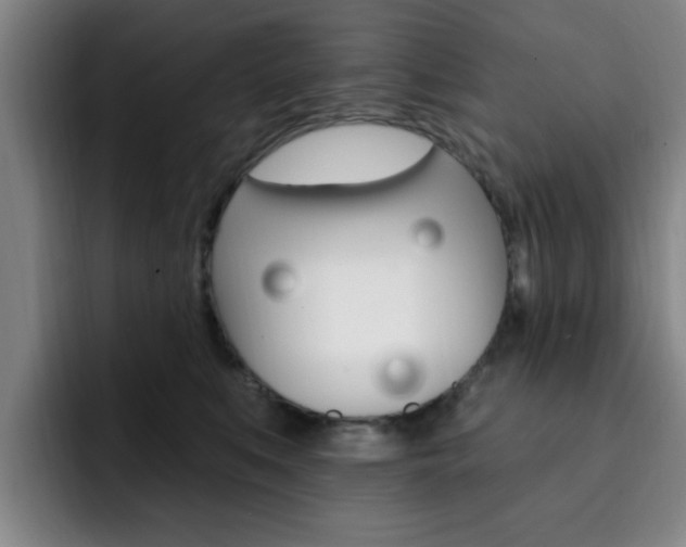 X0000093090519200709260911