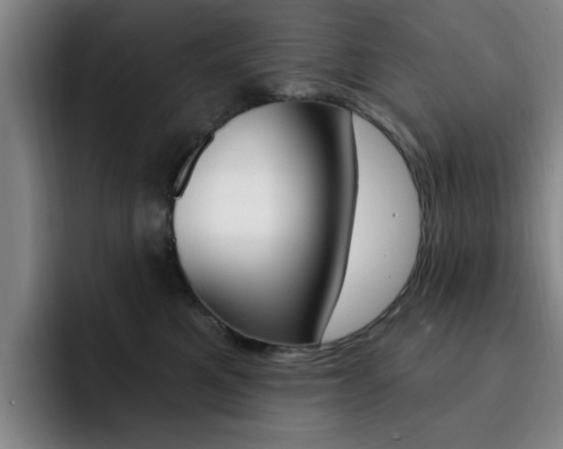 X0000093090521200709260911