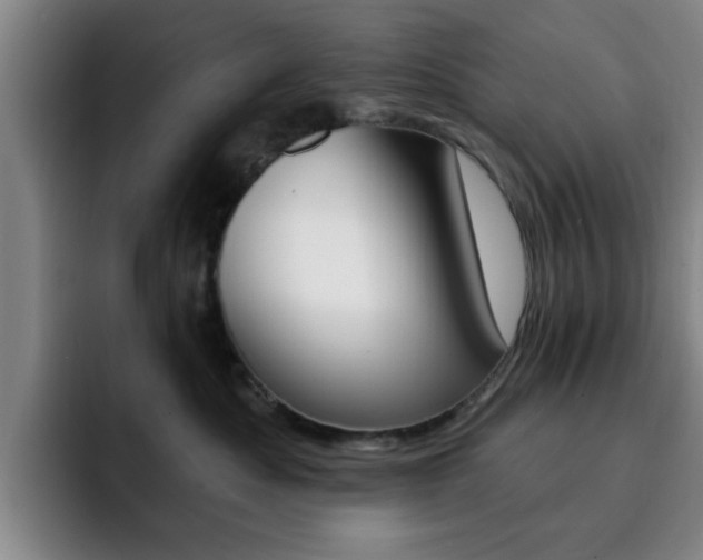X0000093090525200709260911