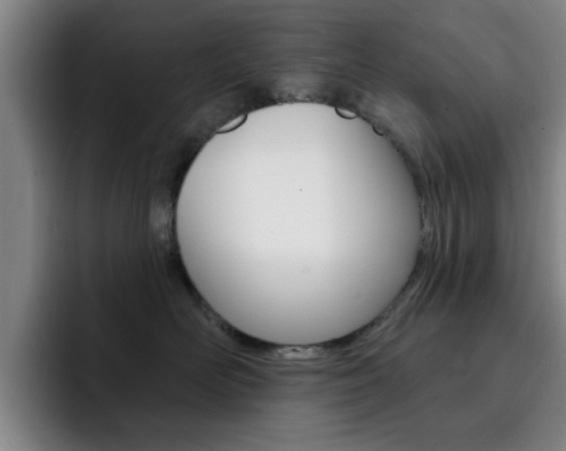 X0000093090526200709260911