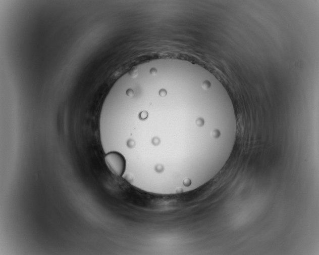 X0000093090527200709260911