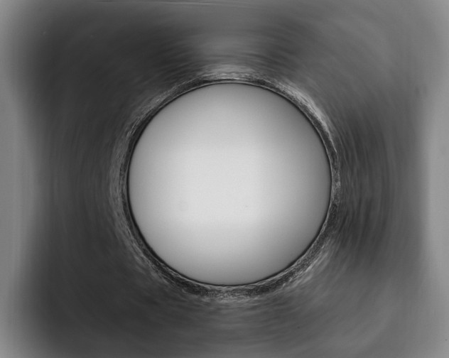 X0000093090529200709260911