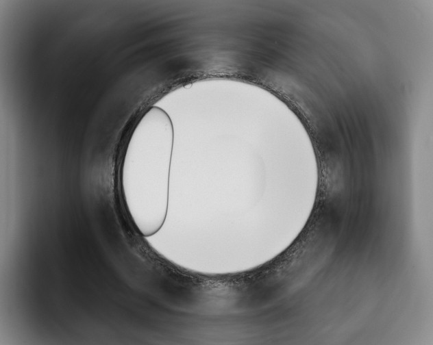 X0000093090534200709260911