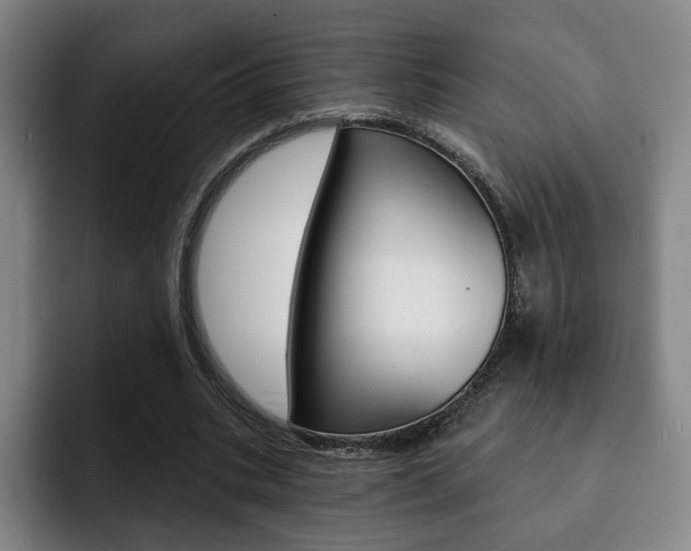 X0000093090535200709260911