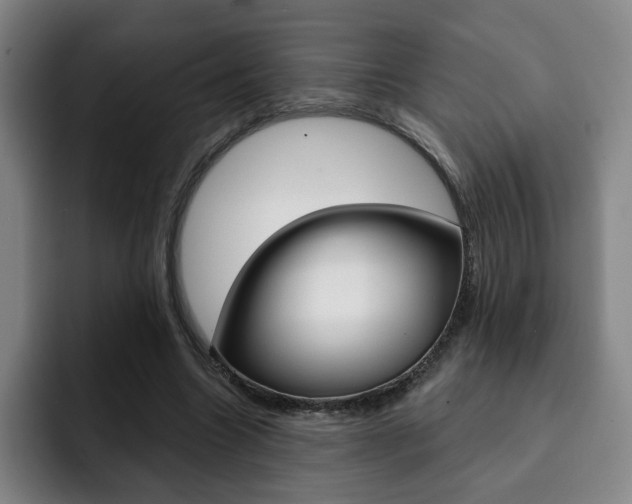 X0000093090538200709260911