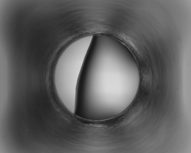 X0000093090539200709260911