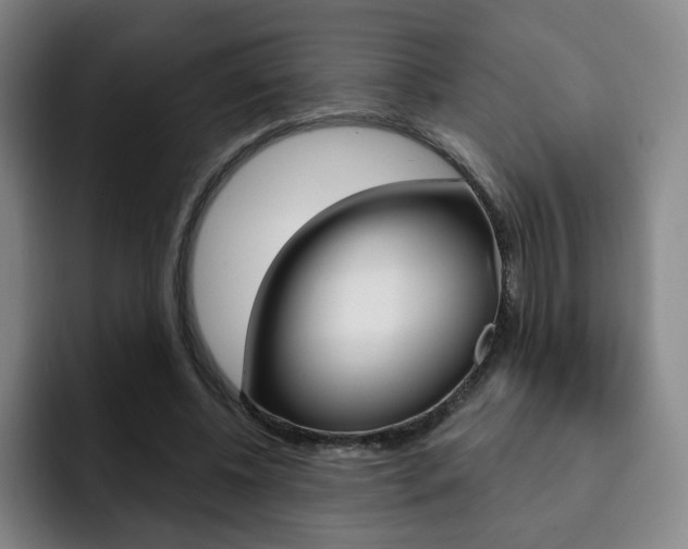 X0000093090540200709260911