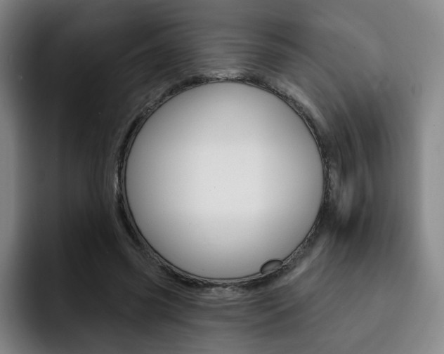 X0000093090541200709260911