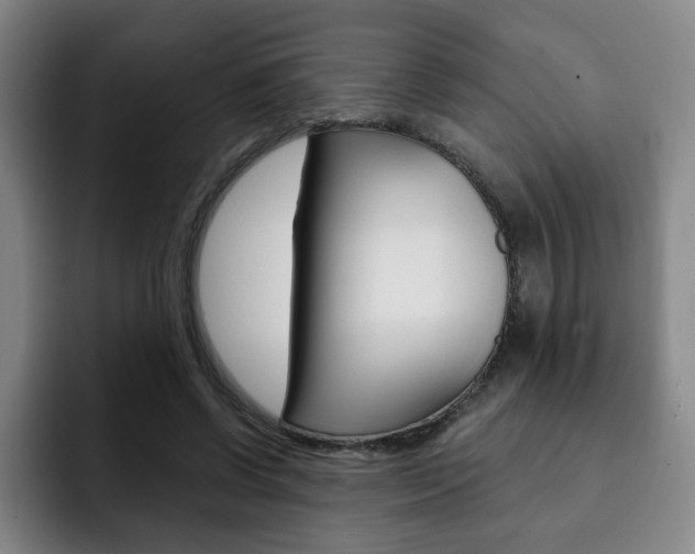 X0000093090542200709260911