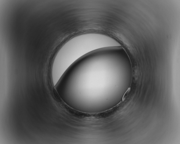 X0000093090544200709260911