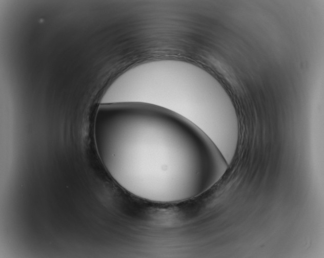 X0000093090548200709260911