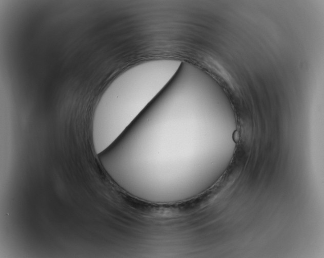 X0000093090549200709260911