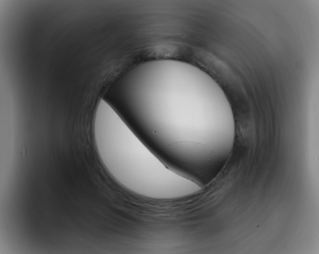 X0000093090551200709260911