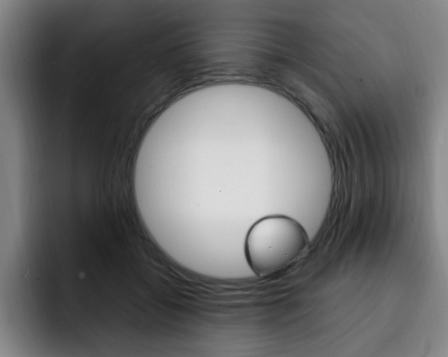 X0000093090556200709260911