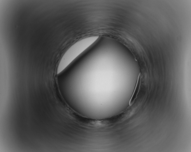 X0000093090558200709260911