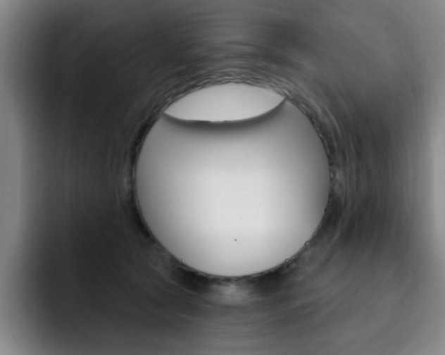 X0000093090561200709260911