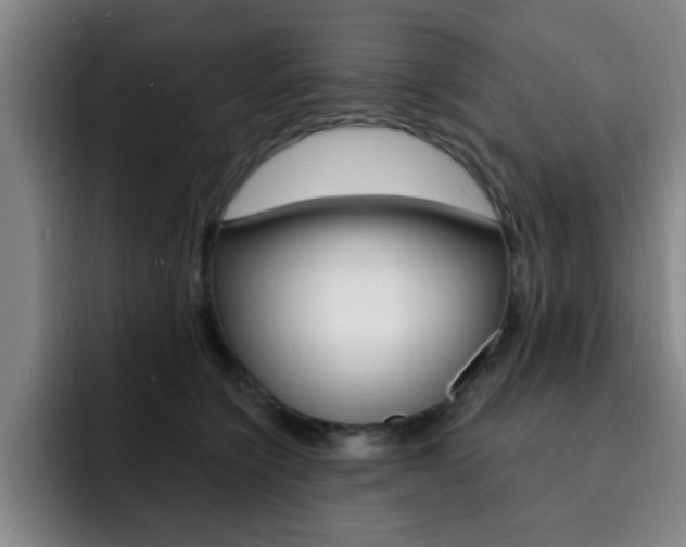 X0000093090564200709260911