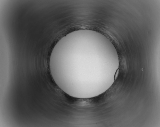 X0000093090569200709260911