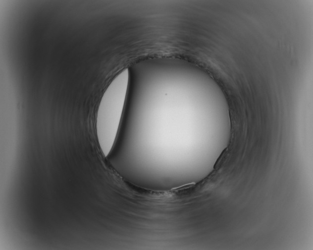 X0000093090576200709260911