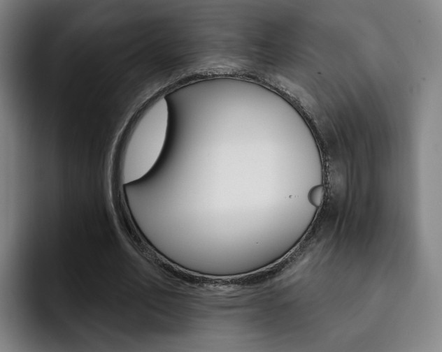 X0000093090582200709260910
