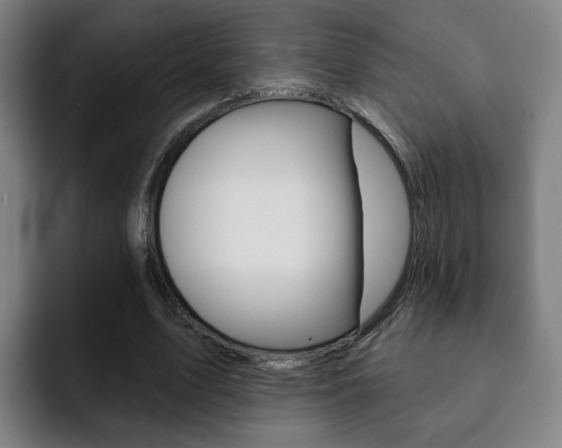 X0000093090583200709260910