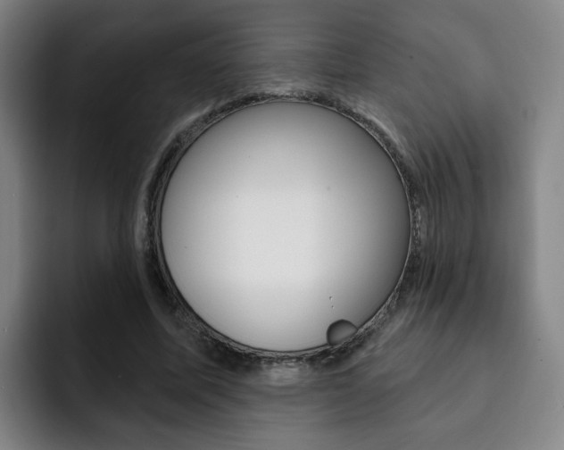 X0000093090587200709260910