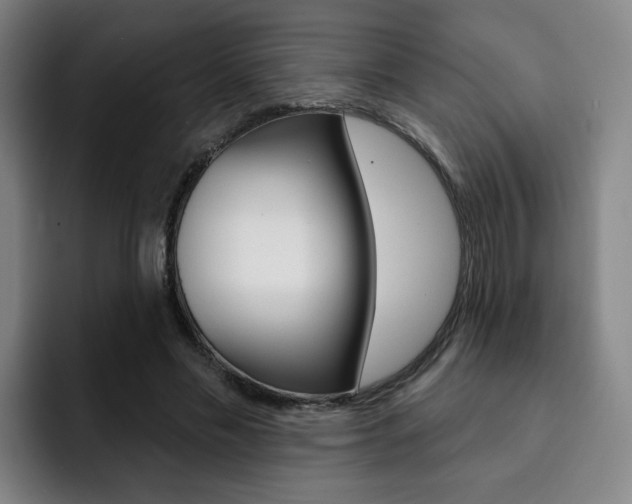 X0000093090589200709260910
