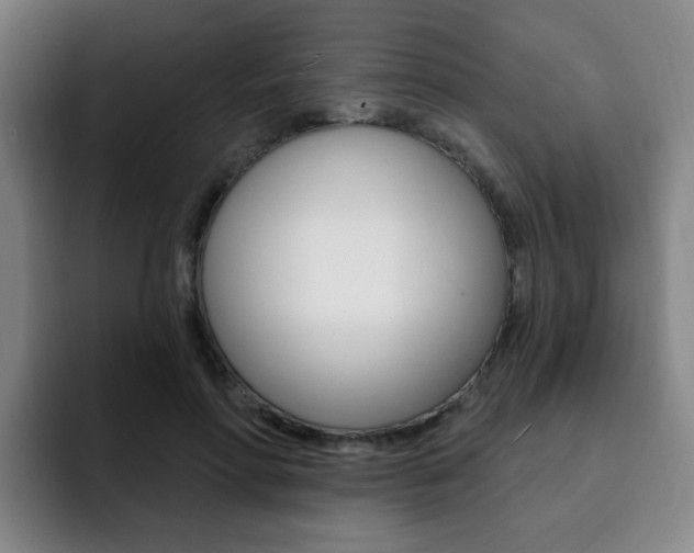 X0000093090598200709260910