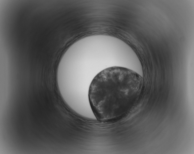 X0000093090600200709260910
