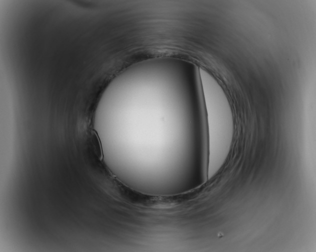 X0000093090601200709260910