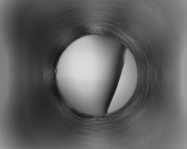 X0000093090603200709260910