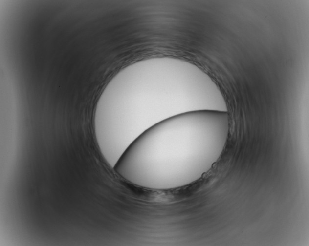 X0000093090616200709260910