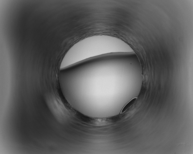 X0000093090623200709260910