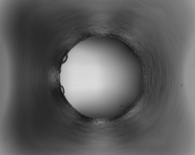 X0000093090624200709260910