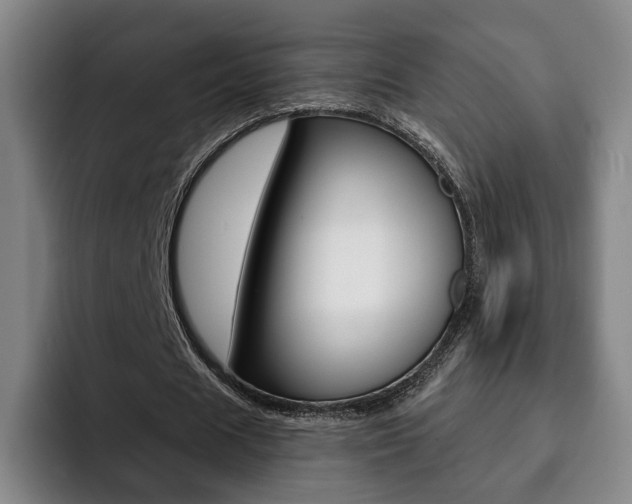 X0000093090625200709260909