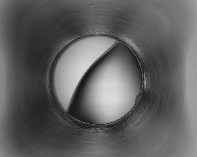 X0000093090627200709260909