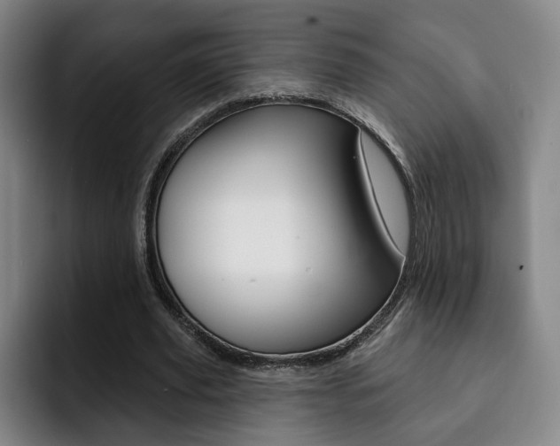 X0000093090629200709260909