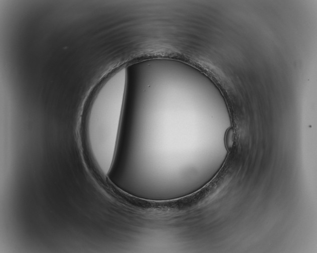 X0000093090630200709260910
