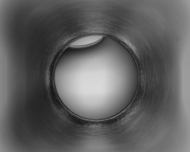 X0000093090631200709260910