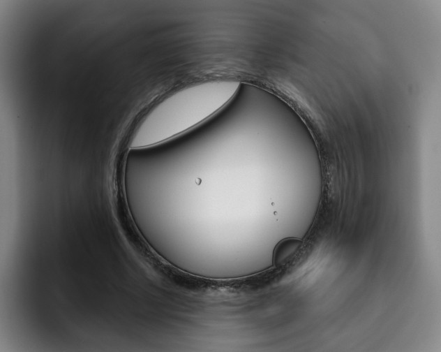 X0000093090634200709260910